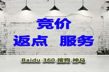 某电商平台的SEM推广策略——代运营公司的实践